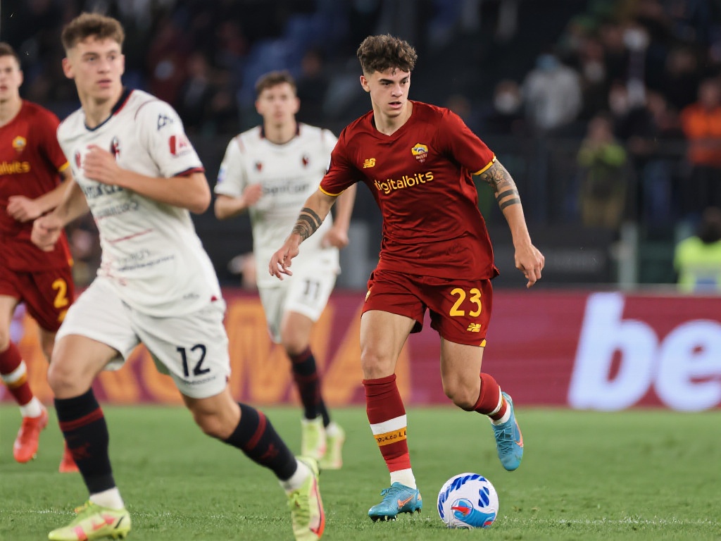 无论是新手 无论是新手